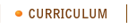 Curriculum